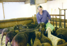 Schafbauer und Bürgermeister