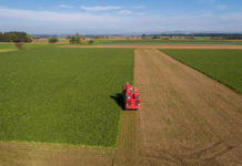 Strasser: Nach Verbot der Neonicotinoide brauchen wir eine ordentliche Lösung für unsere heimischen Rübenbauern