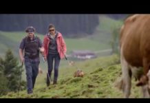 Kurzvideos für mehr Sicherheit auf Almen