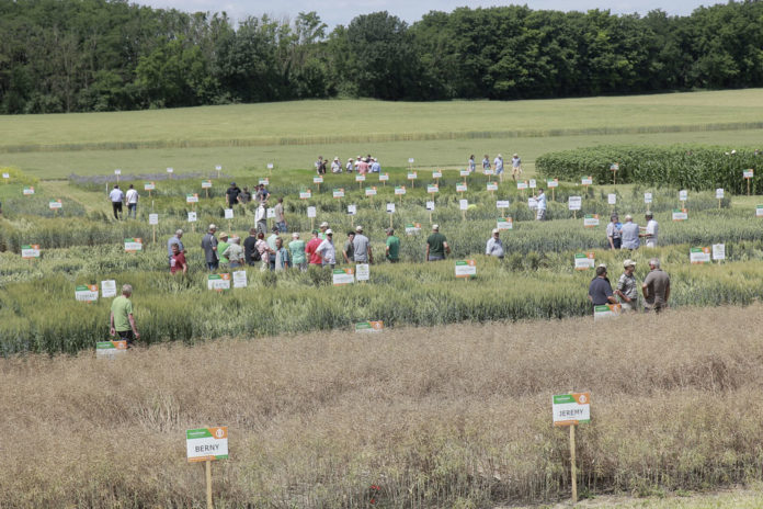 180612 Probstd Feldtag Web01