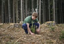 Waldbewirtschaftung sichert Mehrwert für die Gesellschaft