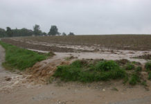 G20-Landwirtschaftsminister bekennen sich zu freiem Agrarhandel