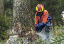 Forstwirtschaftsmeisterlehrgang und Kurs für Forstschutzorgane