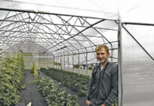 Zuversicht lässt Flügel wachsen