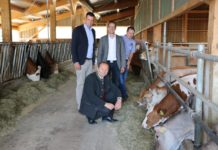 Tiroler Qualitätsfleischprogramm vorgestellt Projektverantwortlicher und Bereichsleiter der Rinderzucht Tirol, Michael Wurzrainer, LHStv. Josef Geisler, Landeskulturfonds-Geschäftsführer Thomas Danzl und Hannes Post, dessen Betrieb am Qualitätsfleischprogramm teilnimmt, sehen das Projekt als Stärkung der heimischen Landwirtschaft (v. l.).