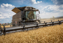 Massey Ferguson Ideal im Praxiseinsatz in Tschechien