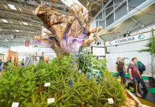 Österreich zeigte Flagge auf der Fachmesse “Interforst” in München