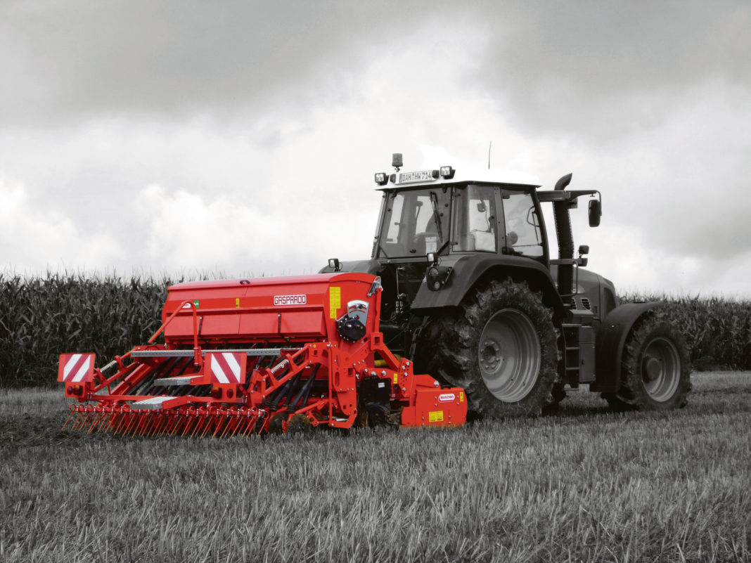 Maschio