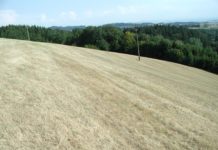 Grünland-Dürreschäden: LK OÖ fordert EU-Hilfe