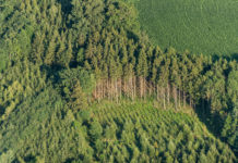 Carl Prinz von Croy neuer Vizepräsident der Land&Forst Betriebe Österreich