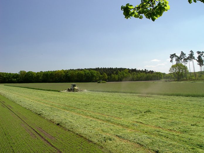 Gruenland Maehen J 3 ID33145