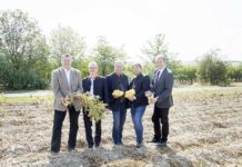 Erdäpfelbauern leiden erneut unter Folgen der Trockenheit