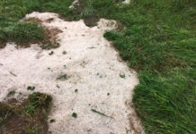 Schwere Hagelschäden in der Steiermark