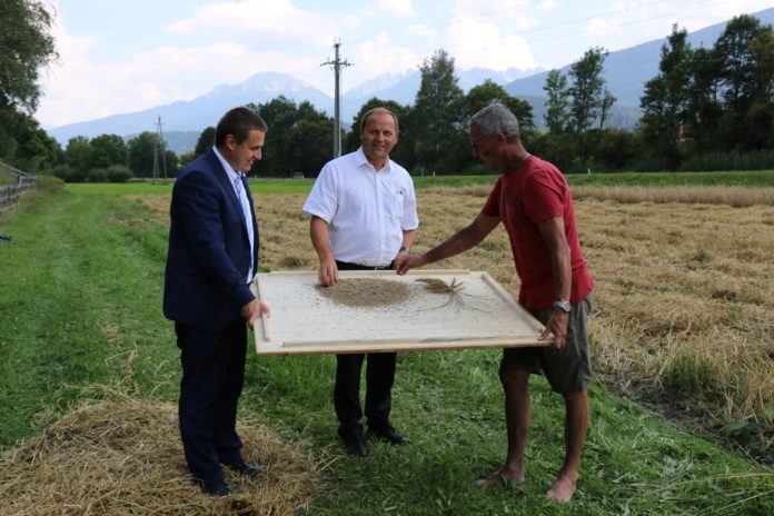 Klaus Wallnöfer, Vorstand der Abteilung landwirtschaftliches Schulwesen, Jagd und Fischerei, LHStv. Josef Geisler und Christian Partl von der Genbank des Landes Tirol (v. l.) sind überzeugt von den alten Landsorten.