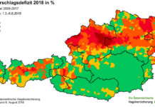 Rekordschäden durch Hitze und Dürre in Österreich