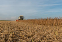 2. Sojafachtag der LFS Güssing