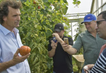 Brasilianer lernen von Oberösterreichs Biobauern