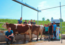 Jungzüchterprofi – jetzt zum Neustart anmelden