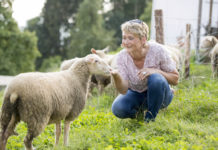 Bio Austria fordert mehr Agrar-Umweltmaßnahmen