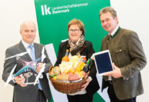 Neue Wege in die Zukunft