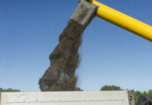 Forscher wollen Raps als Eiweißquelle für die menschliche Ernährung erschließen