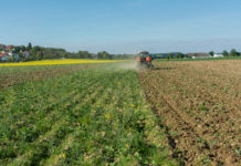 Eurostat: Österreich hat höchsten Bioflächenanteil in der EU