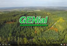 Tag des Waldes: GENial – Der Wald im Klimawandel