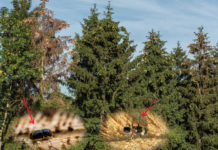 Waldbewirtschaftung ist Klimaschutz