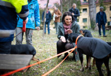 Köstinger: Spürhunde-Projekt zur Früherkennung von Borkenkäferbefall gestartet