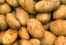 Aktionstag für gesunde Lebensmittel