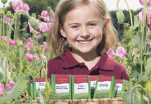 Innovativ, rein und aromatisch