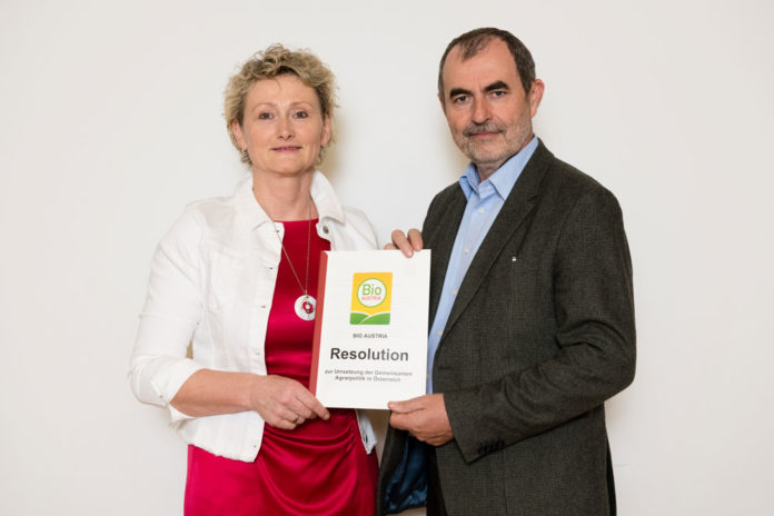 BIO OBS 20190410 OBS0065