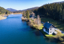 Bundesforste investieren in Immobilien und Wohnbau