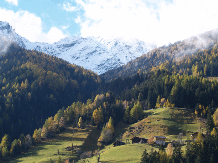 Nationalpark Herbst 2 ID32701