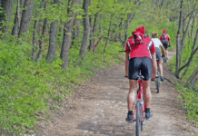 Radeln im Wald? Ja, aber nur auf ausgewiesenen Strecken