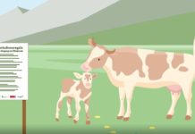 10 Verhaltensregeln für Alm-Besucher