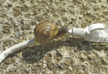 Breitband: So kann der Ausbau in den Gemeinden beschleunigt werden