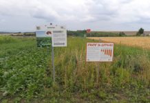 IGP-Schaufelder: Ohne Pflanzenschutz wäre die Ernte mager