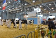 Tiermessen lockten 37.000 Besucher nach Brünn