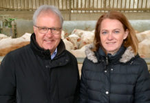 „Wir brauchen ein konsequentes Wolfsmanagement in Europa“ NR Hermann Gahr und Simone Schmiedtbauer akzeptieren kein „Nein“ als Antwort auf das dringend benötigte Wolfsmanagement.