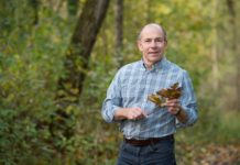 Schneedruck: Rasche Hilfe aus Katastrophenfonds