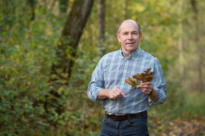 LR Hiegelsberger Wald Röbl (2)
