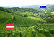 Weingipfel 2019: Terroir-Schnittstellen im Herzen Europas