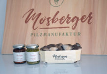 Edelpilze aus dem Mostkeller