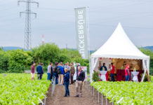 Österreichs größtes landwirtschaftliches Schaufeld am 6. Juni in Tulln