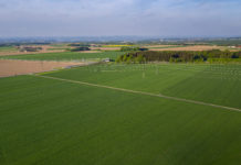 Monitoring und Befallserhebungen der Pilzkrankheiten bei Winterweizen gestartet