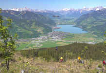 Bundesforste testen Drohnen für Aufforstungen