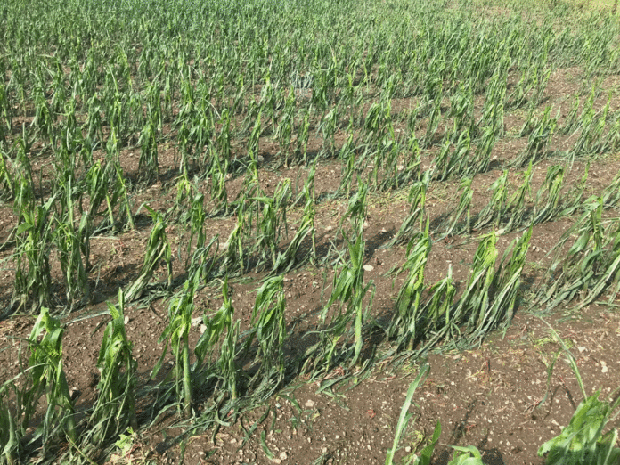 Mais OBS 20190621 OBS0020