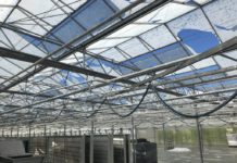 Landwirtschaft in der Steiermark erneut massiv geschädigt