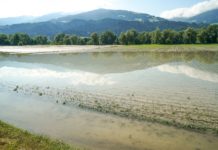 Tirols Gemüsebauern steht das Wasser bis zum Hals Das Hochwasser der vergangenen Woche hat erhebliche Flurschäden verursacht. Im Bild zu sehen ist ein überflutetes Feld zwischen Terfens und Vomp.